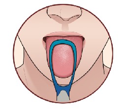 舌头是人体健康的“放大镜”，你了解它吗？