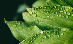 又到梅雨天——三招助您从容应对潮湿季！