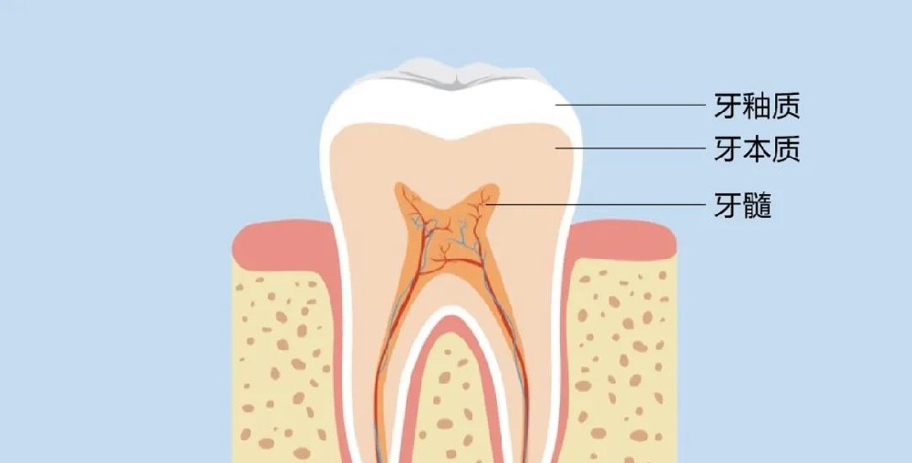 关注牙齿的“慢性病”——牙齿磨损