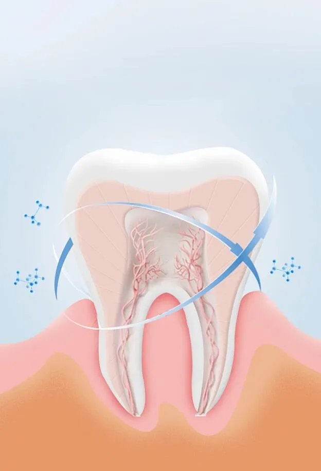 牙龈萎缩的常见原因